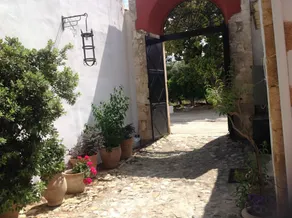 Oasis Guesthouse - Vue de la chambre