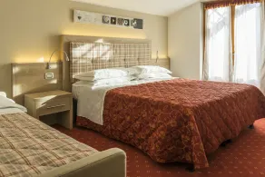 Hotel Alpina - Chambre