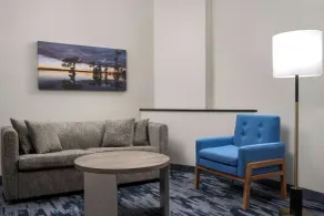 Fairfield Inn and Suites by Marriott Dallas Mansfield - Chambre