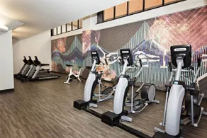 Radisson Blu Fargo - Gym