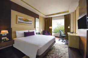 DoubleTree by Hilton Gurugram Baani Square - View from room