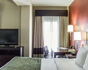 Comfort Suites Regency Park - Vue de la chambre