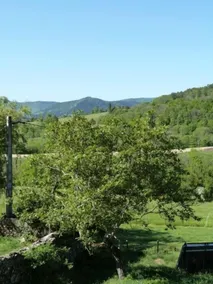 Domaine du Clap - Udsigt fra værelset