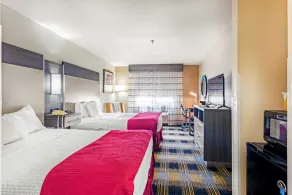 Baymont by Wyndham Jackson - Chambre