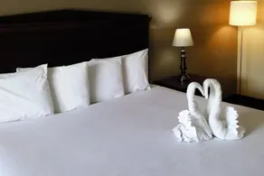 Econo Lodge Ormond Beach North - Daytona - Zimmer