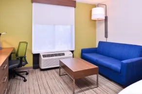 Holiday Inn Express Hotel & Suites Tampa-Anderson Road-Veterans Exp by IHG - Chambre