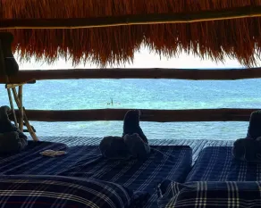 Birdland Beach Club - View from room