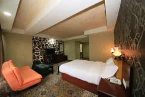Borjomi Palace Health & Spa Center - Room
