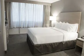 Holiday Inn Fargo by IHG - Chambre