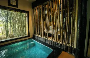 Mogli Resorts Kanha - Piscine