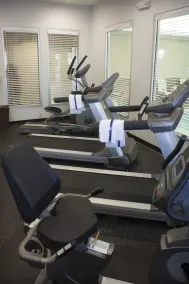 Holiday Inn Express & Suites Youngstown West - Austintown by IHG - Salle de remise en forme