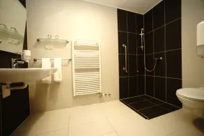 Hotel Vineyard Inn - Szőlőskert - Badezimmer
