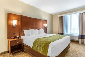 Comfort Suites San Antonio Ft Sam Houston-SAMMC Area - Room