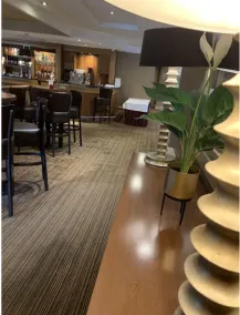 Park Hotel - Reception