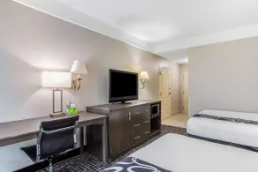 La Quinta Inn & Suites by Wyndham Fultondale Birmingham N - Chambre