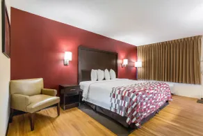 Red Roof Inn Cincinnati Airport–Florence/ Erlanger - Chambre