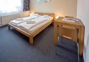 Hotel Lions Plzen - Room