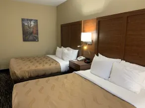 Quality Inn & Suites Hendersonville - Flat Rock - Chambre