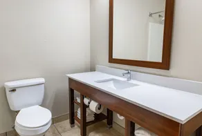 Comfort Inn Piketon near Fairgrounds - Badeværelse