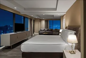 Windsor Hotel & Convention Center Istanbul - Vista dalla camera