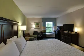 Hampton Inn Franklin/Milford - Chambre