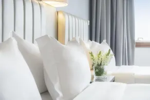 Hôtel du Cheval Blanc Brunstatt - Rom