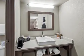 Red Roof Inn Ann Arbor - U of Michigan South - Salle de bain