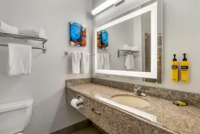 Best Western Plus New Caney Inn & Suites - Salle de bain