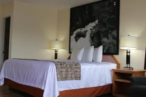 Ashland Street Inn - Chambre