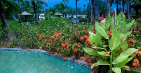 Queena Plaza Hotel - Pool