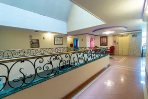 Lavid Hotel Palacio Real - Handrails in hallways