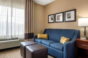 Comfort Inn Meadowlands - Chambre