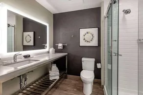 Cambria Hotel Savannah Downtown Historic District - Bathroom