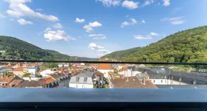 PLAZA Premium Heidelberg - Vista do quarto