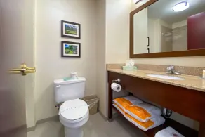 Comfort Inn East Windsor - Springfield - Salle de bain