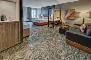 SpringHill Suites by Marriott Amarillo - Chambre