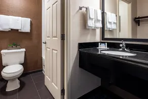 Fairfield Inn Charlotte Northlake - Salle de bain
