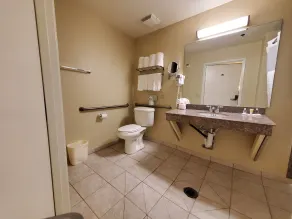 Comfort Suites Houston near Medical Center- NRG Stadium - Bathroom