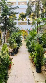 Radhika Palace Hotel - Rezeption