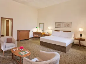 Maidens Hotel New Delhi - Room