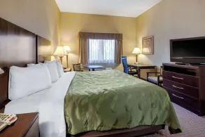 Quality Inn Smyrna - Habitación