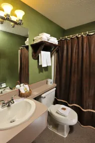 Boarders Inn & Suites by Cobblestone Hotels in Waukon - Badezimmer