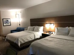 Holiday Inn Express Hotel & Suites Franklin by IHG - Chambre