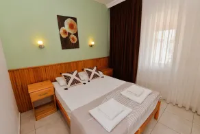 lemon tree - Chambre