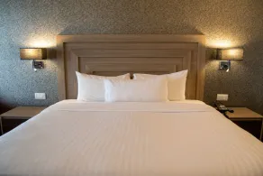 Hilton Garden Inn Leon - Chambre
