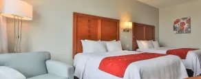 Comfort Inn & Suites - Chambre