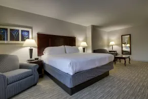 Holiday Inn Express Hotel & Suites Middleboro Raynham by IHG - Chambre