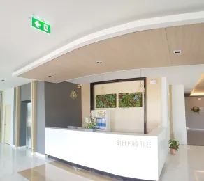 Sleeping Tree Hotel - Reception