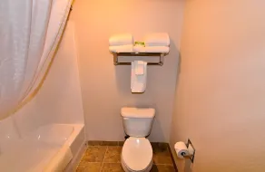 Cobblestone Inn & Suites - Monticello - Badeværelse
