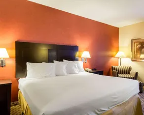 Quality Inn & Suites Oakwood Village - Cleveland South - Chambre